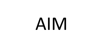 AIM ad interim management AG