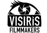 visiris-gmbh